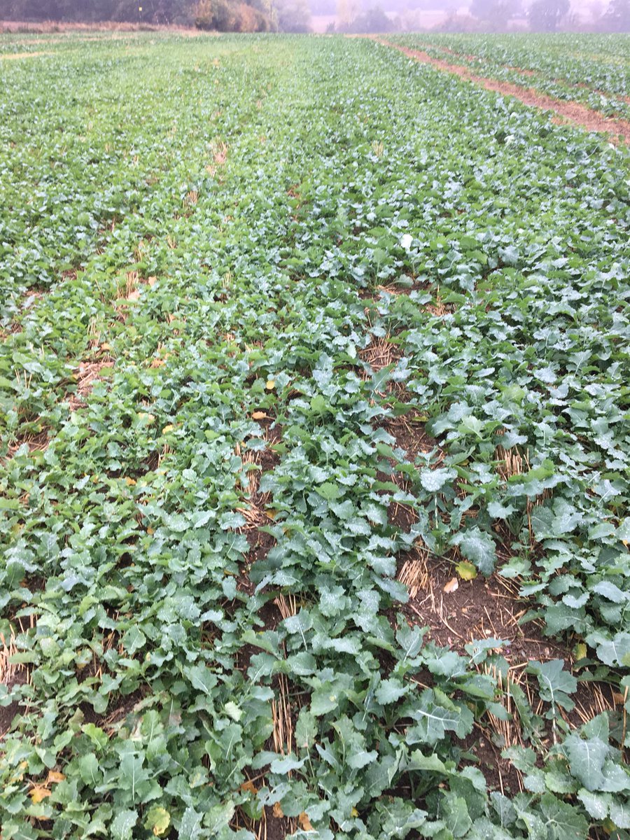 Ryan Hudson tweet media