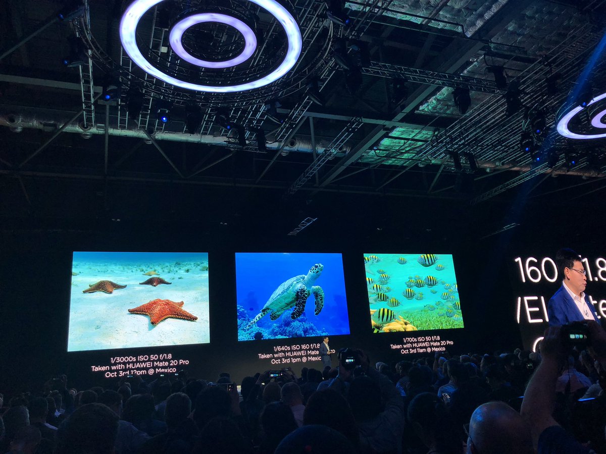 RobertaCozza_'s tweet photo. Huawei M20 special case for those underwater moments 🐠 @jessekholm 💦 https://t.co/t1j5uY35tR