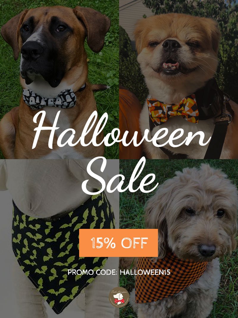 Trish_Hampton's tweet photo. You’ll love these Halloween dog bandanas and bow ties! 🐶 - https://t.co/PB9qBvWrNn https://t.co/PKZX9csx40