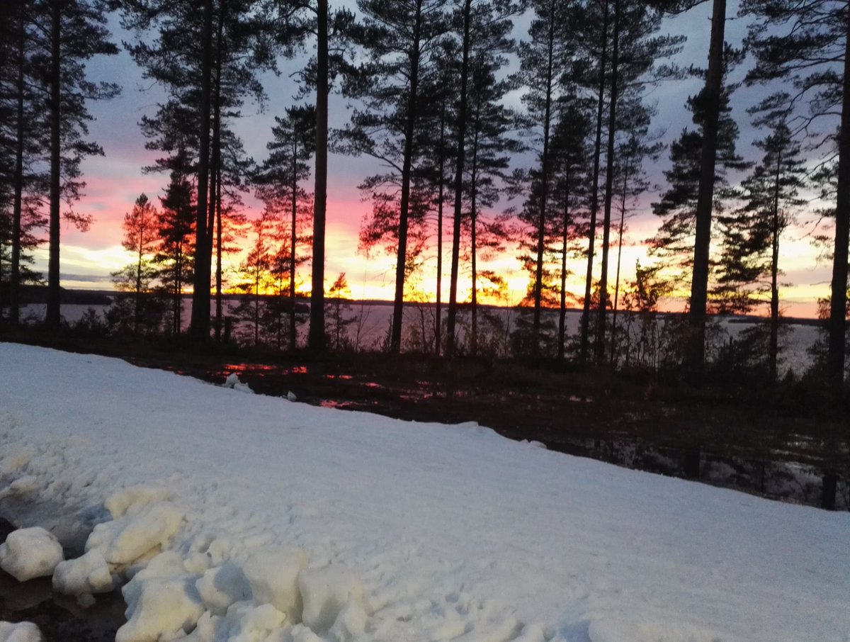 starvonen1's tweet photo. Latukauteen ilta-auringossa.. ❄⛷☀ #lumella #baanalla #ladulla #suksilla #ensilumilla #jäähdytettylatukontiolahti #cooledskitrack https://t.co/6SdcPL8afp