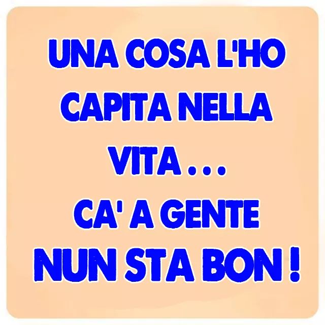 munacel's tweet image. 