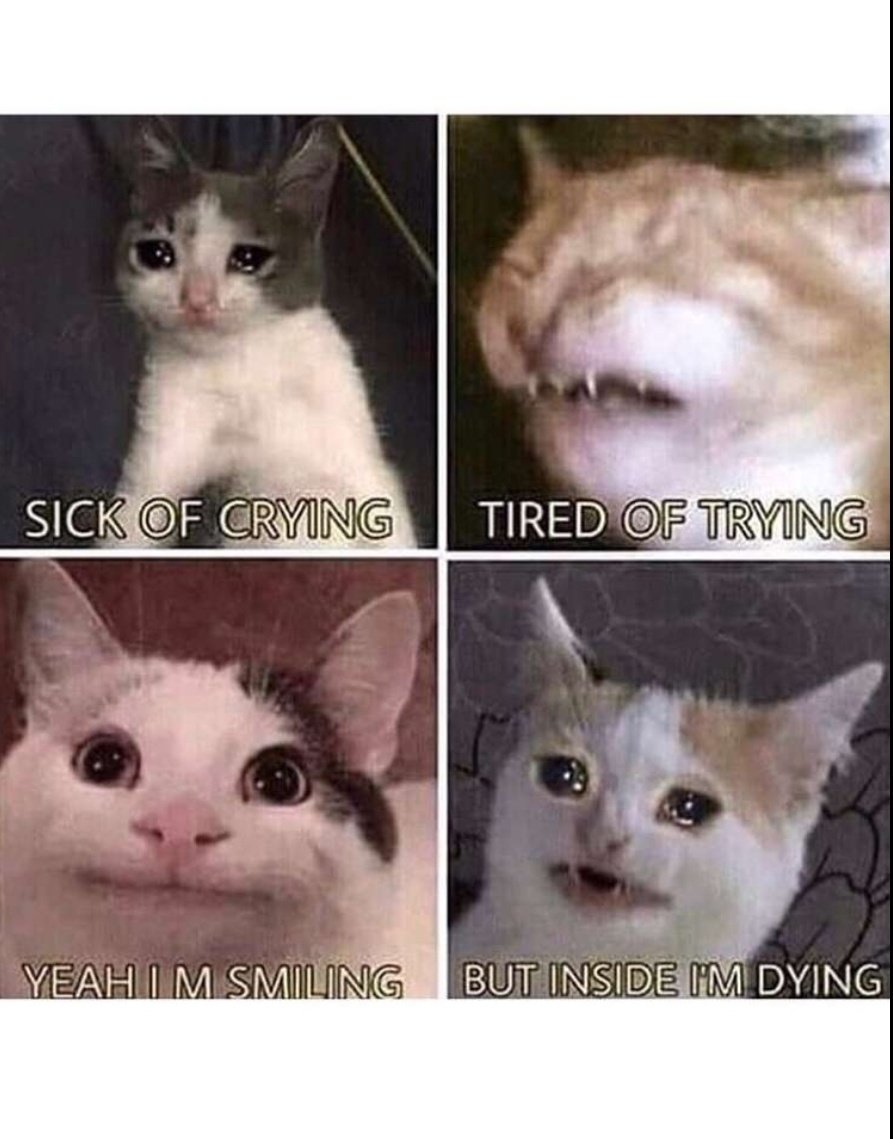 sully_lad's tweet photo. Story of my life ... https://t.co/3bNxpxq6eZ