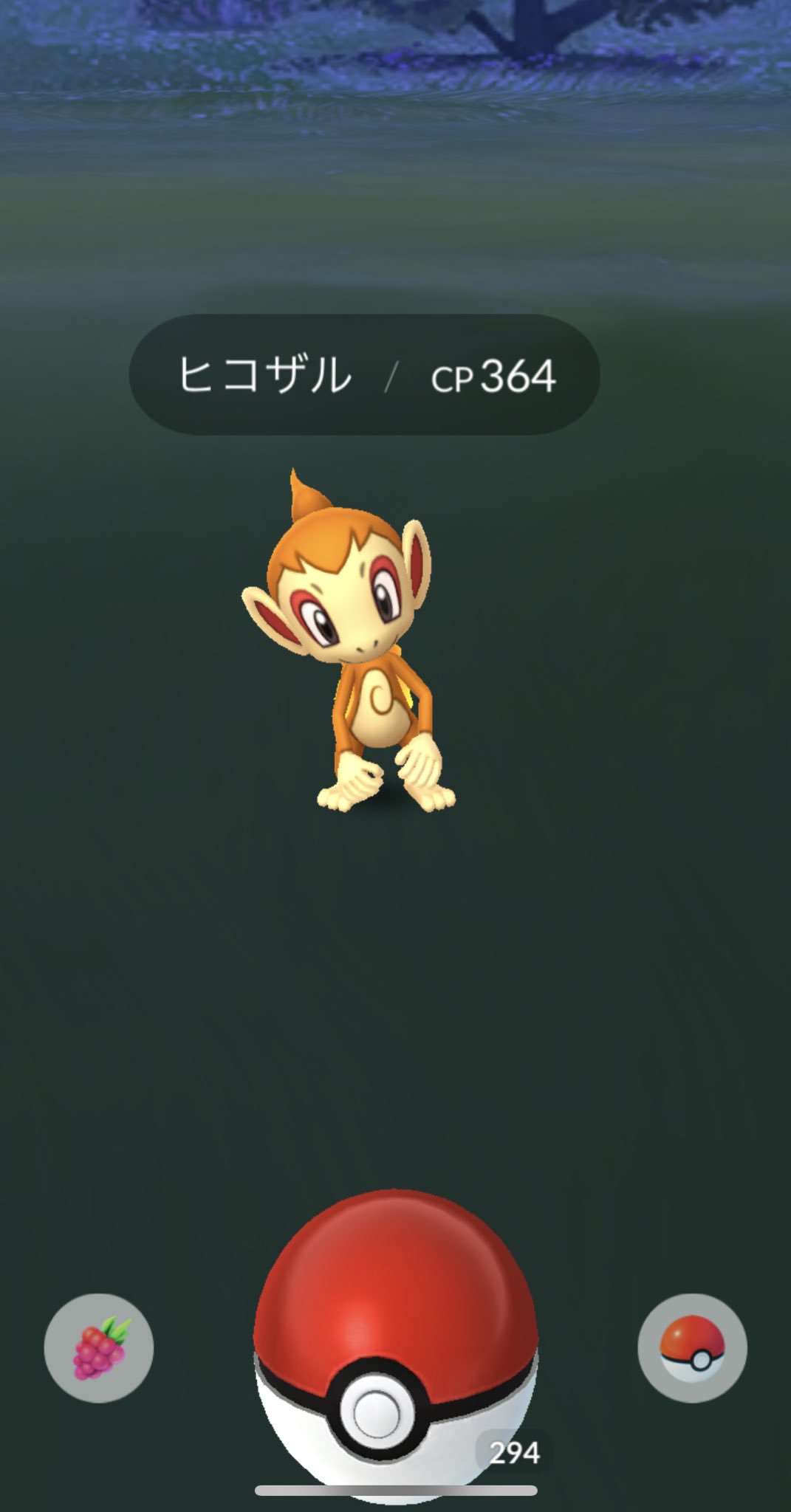 あぽろ ヒコザル ポケモンgo T Co J8eutxg0ip Twitter