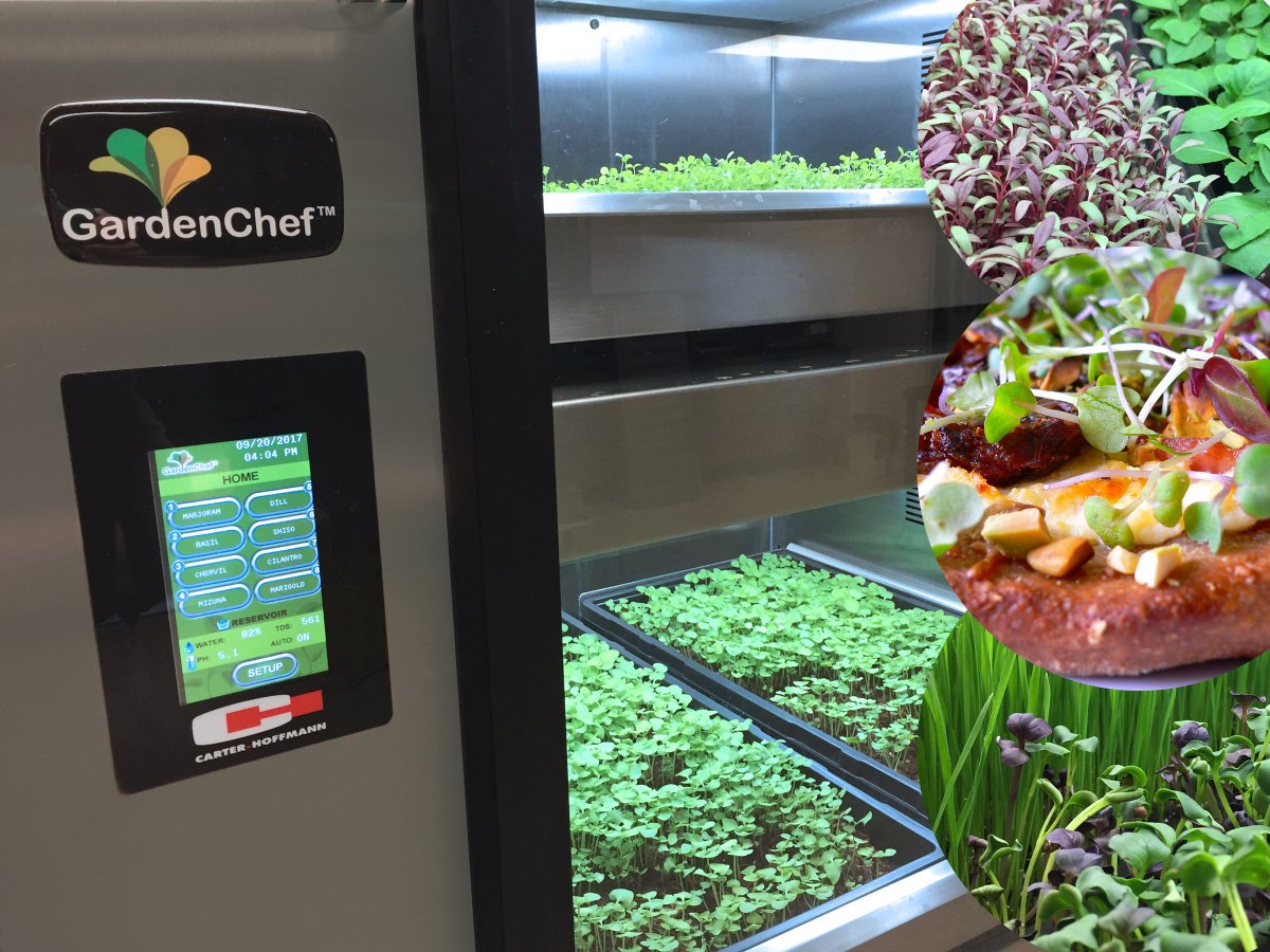 CarterHoffmann's tweet photo. It's National #SchoolLunch Week! Go local and go healthy with #GardenChef micro green cabinets! https://t.co/yRmaON5M03