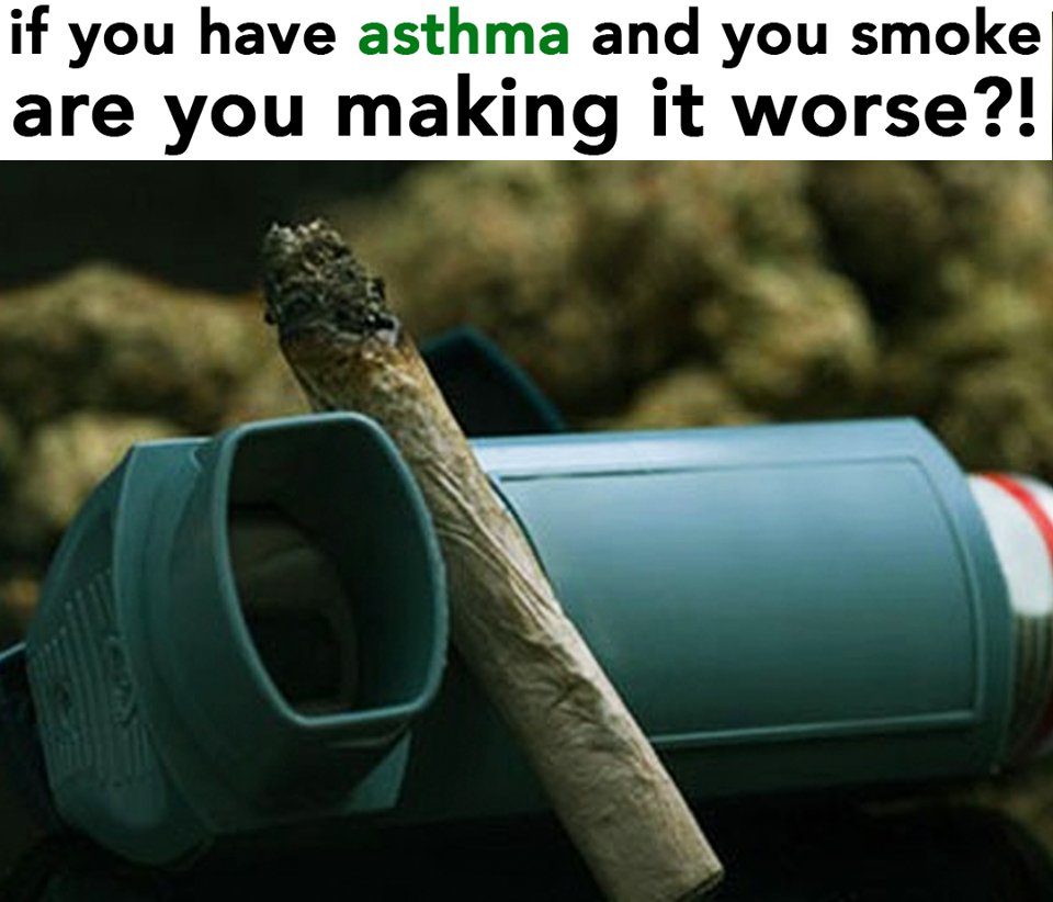 KoolMJTeam's tweet photo. If you have asthma and you smoke. Are you making it worse? 
.
.
#koolMj #medicalmarijuana #marijuana #cannabis #marijuanafacts #onlinecannabis https://t.co/XCLRuU28EE