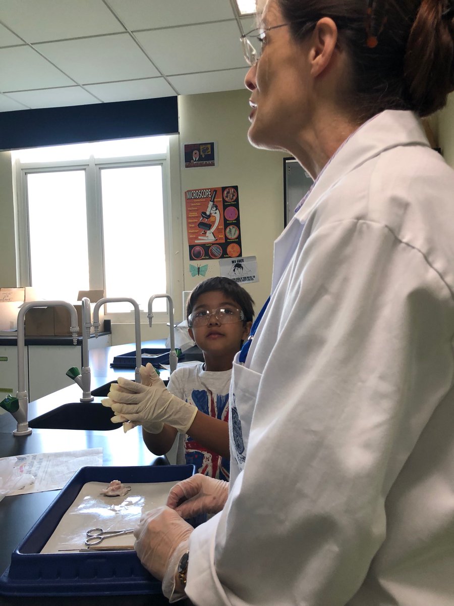 ReptonDXBJunior's tweet photo. Inspiring young minds- scientific enquiry at Repton #ReptonDXBThinkers #ReptonDXBCommunity @ReptonDXBChem https://t.co/yRMrS8qX5r