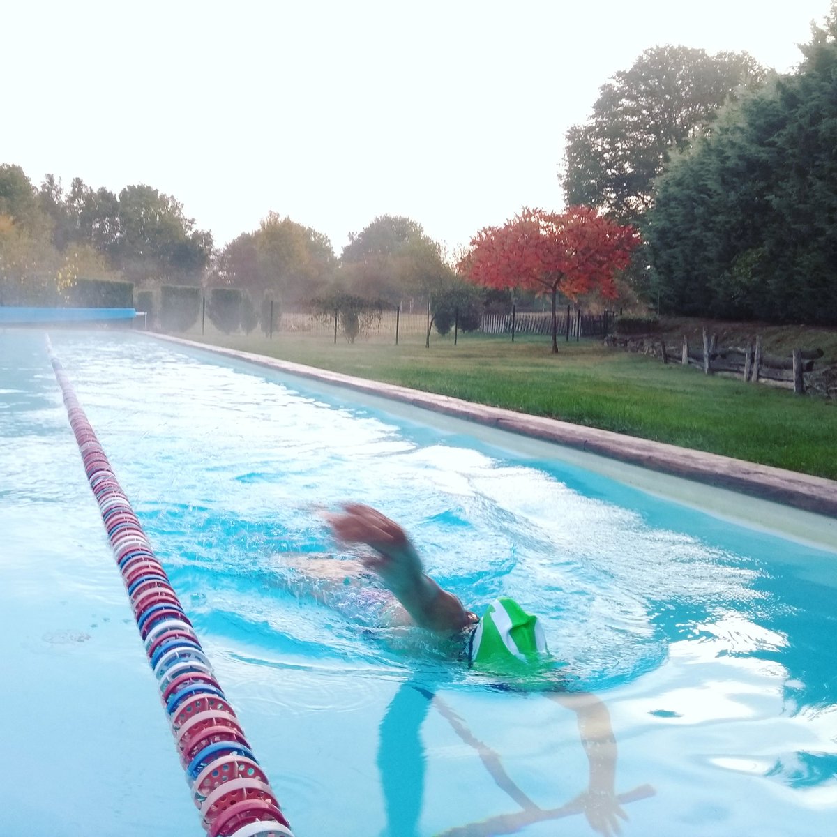 Tritopia's tweet photo. Watching Kona given anyone else a kick up the backside?! Motivation at a new high. Training resumes in the backgarden.. #tritopia #triathlon #uktrichat https://t.co/ksPwIb2MJv
