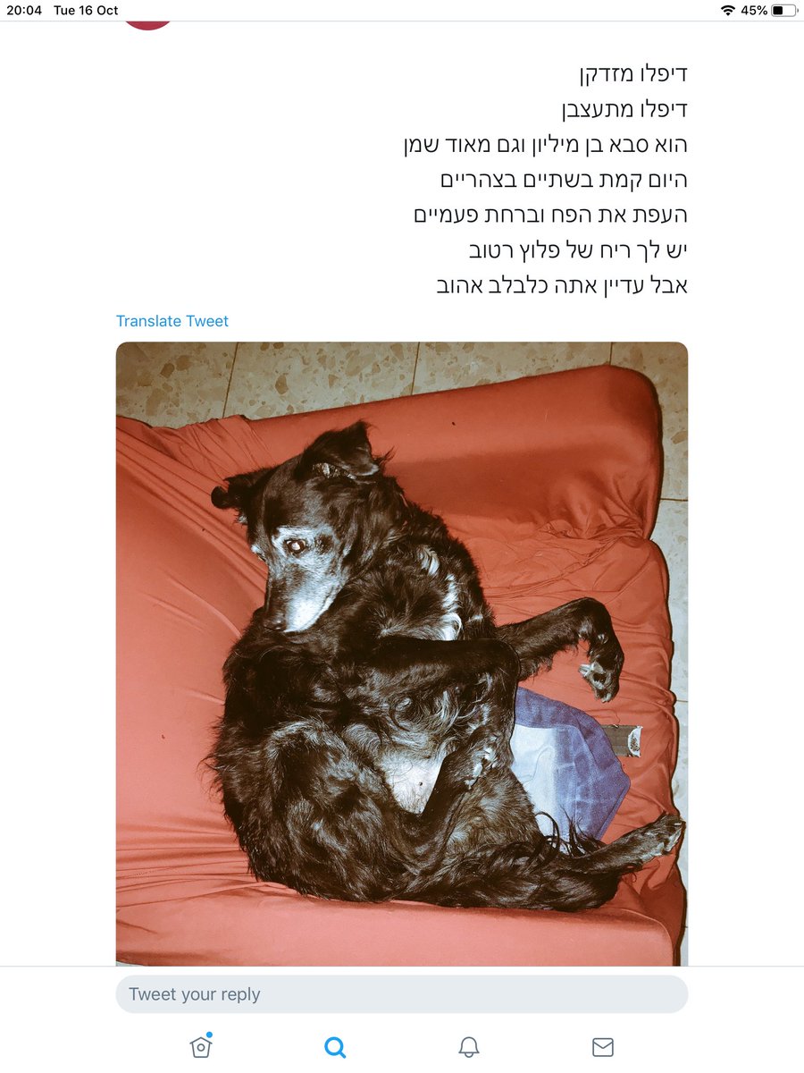 Drimboy's tweet photo. @Noa_Liberator את זה! https://t.co/jVjU9LHsSX