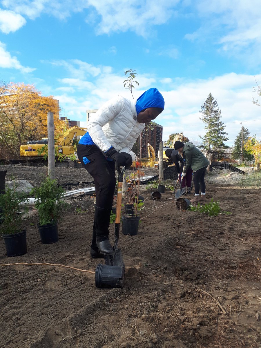 naki_o's tweet photo. Today at Black Creek Farms colleagues from @TD_Canada Marketing planted 140 trees in support of #thereadycommitment #vibrantplanet goal of 1 million trees by 2030! #treedays @TD_FEF #iplantedtoo #seetheevidence https://t.co/GTGnPsb1Hv