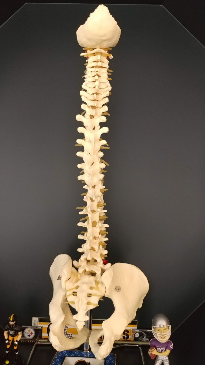 Neil Badlani MD, MBA tweet media