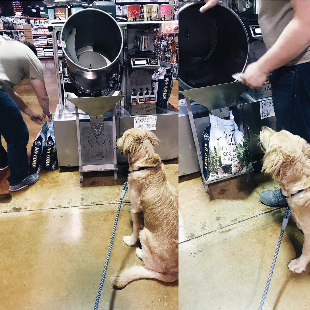 Petsbarn Hashtag On Twitter