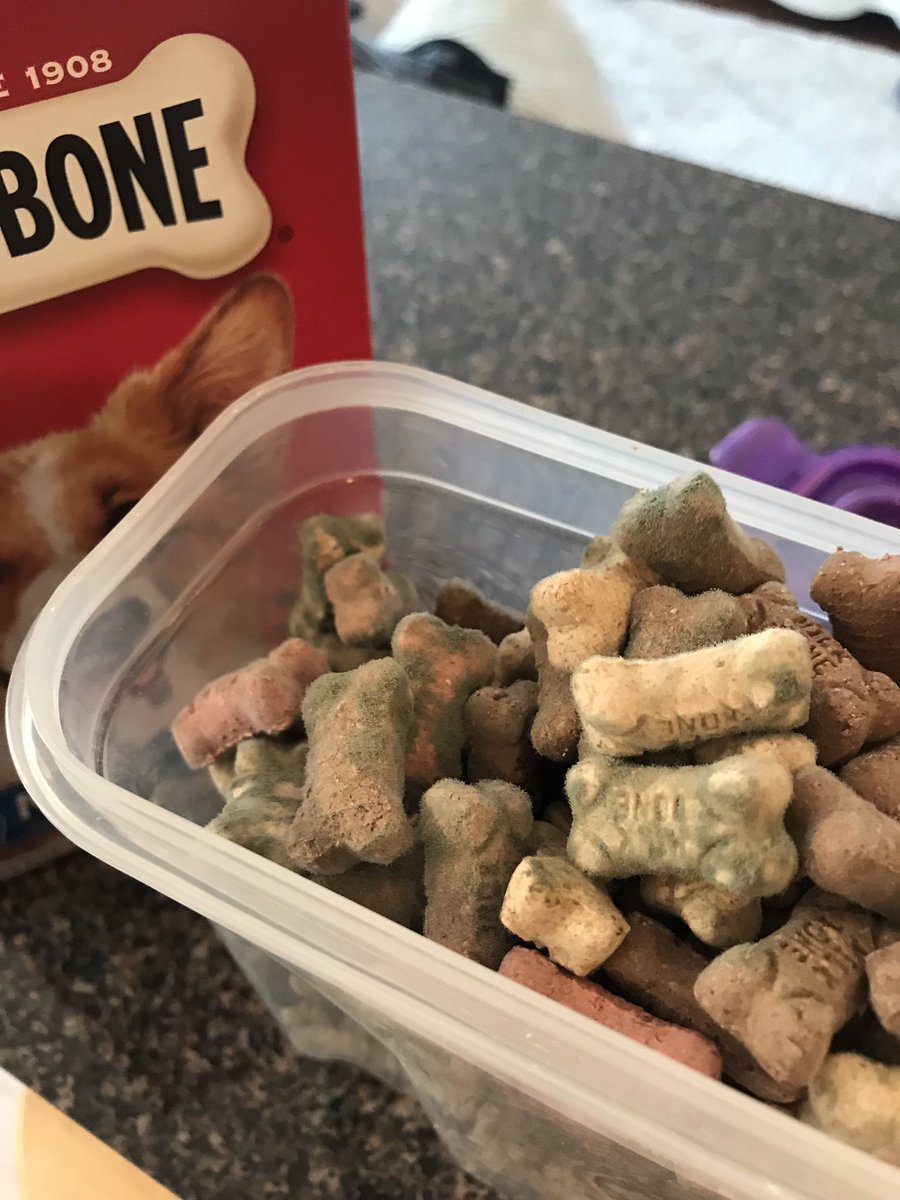 lauren_ges's tweet photo. @MilkBone just opened a new box of Milk Bones that isn’t supposed to expire for OVER a year and the whole box is filled with MOLD https://t.co/iHea3SNEyX