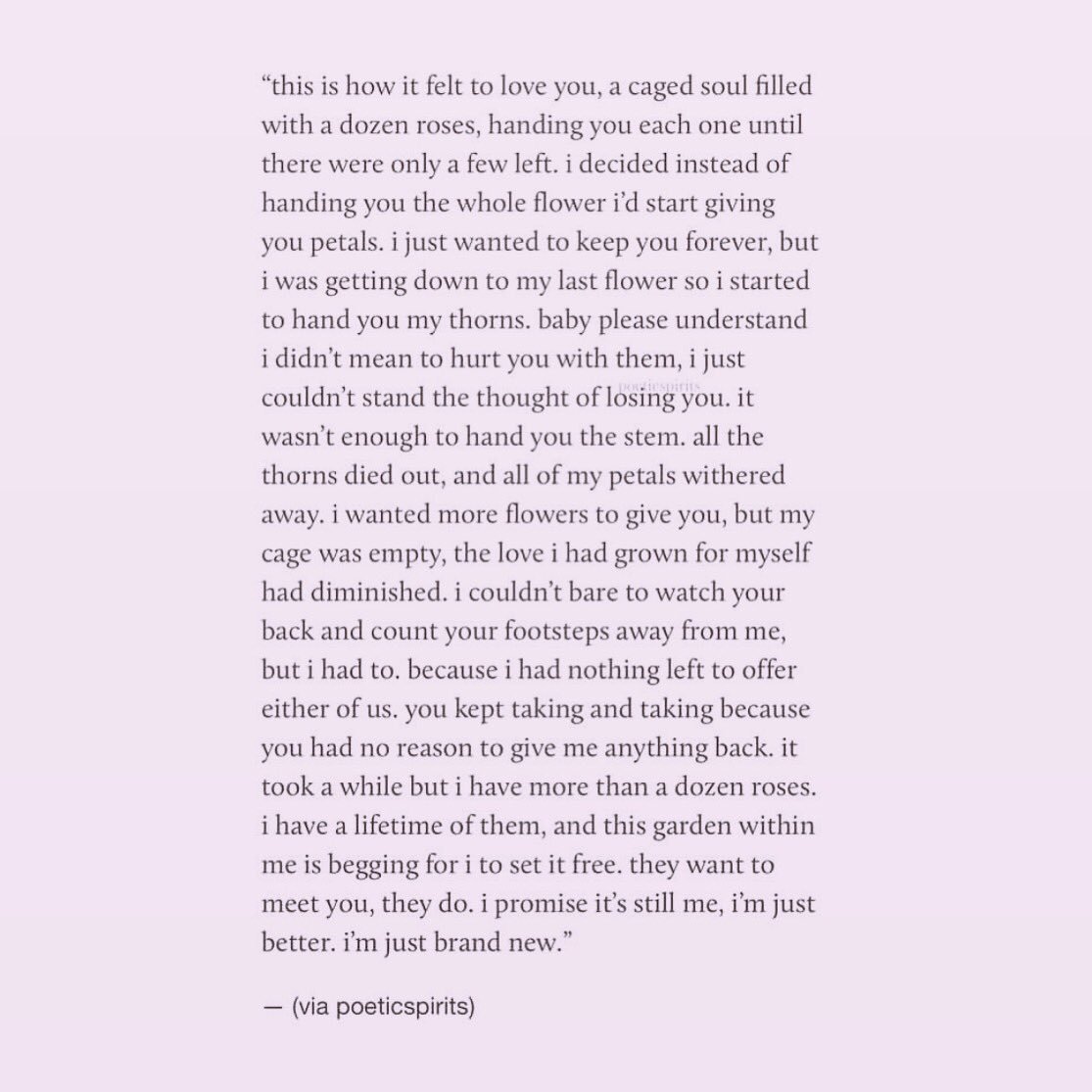 Lauren Amber Schwalm (@simplysmile) on Twitter photo 