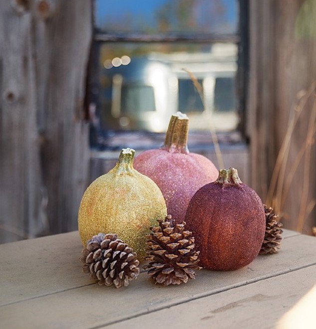 GoRVing's tweet image. Who’s ready for Halloween? Spice up your campsite with these glitter pumpkins by @J5MM_Blog:  po.st/ZQtHY3