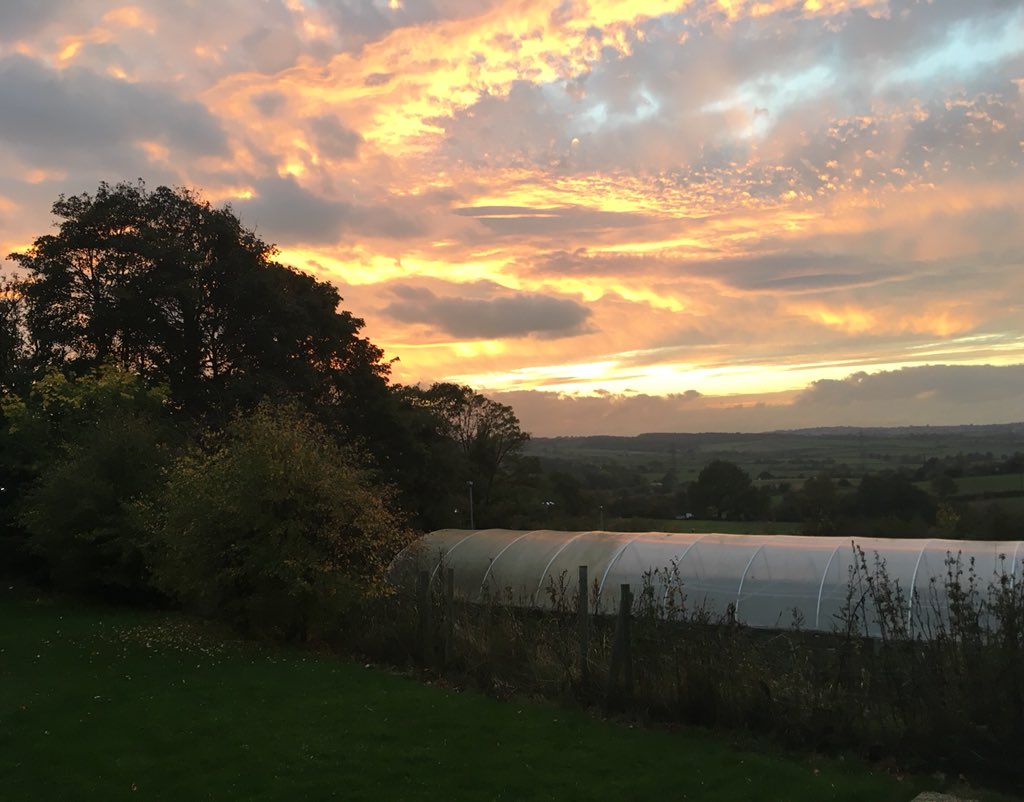 joparrypsych's tweet photo. A beautiful view from Wathwood hospital tonight @NottsHealthcare @rcpsych https://t.co/T5nraNWbzX