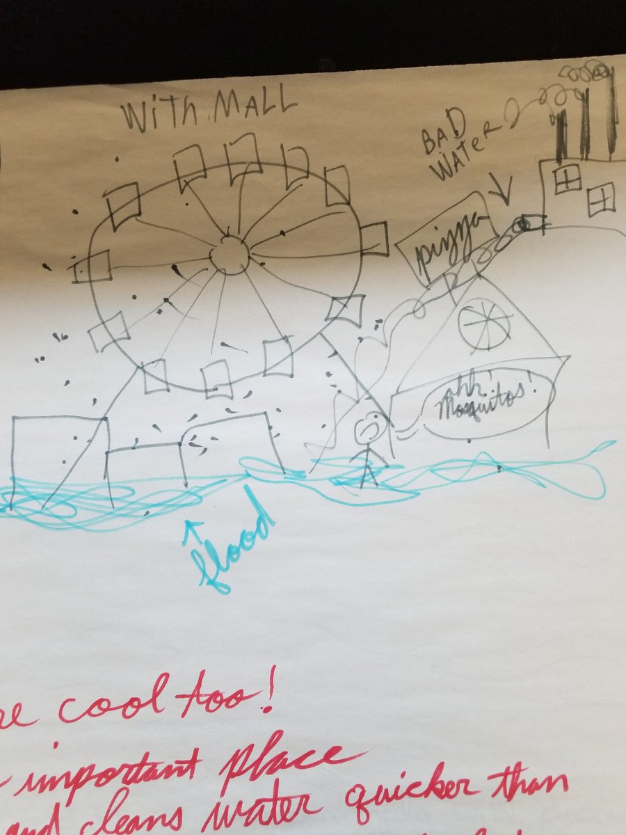 MrsMarshallCSMS's tweet photo. Our @Sandburg_MS #Panthers did an awesome job communicating the importance of #wetlands! We're already looking forward to seeing wetlands during our #MWEE in the spring!  #PantherPride #PanthersDoScience https://t.co/kQGNw5czlu