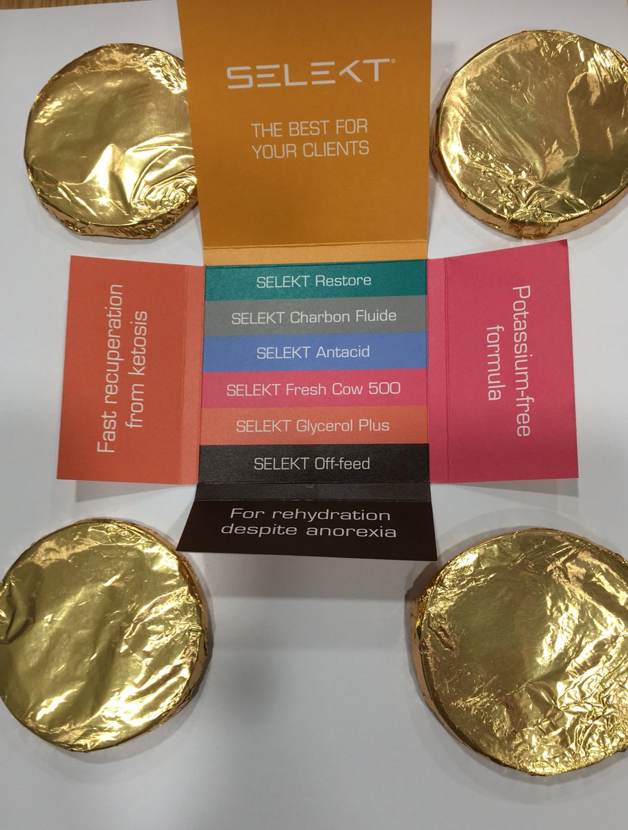 SelektSystem's tweet photo. Also have some especially delicious chocolate treats on our stand โฆ@theBCVAโฉ #BCVACongress2018 #SELEKTSYSTEM https://t.co/yIAxScfp9L