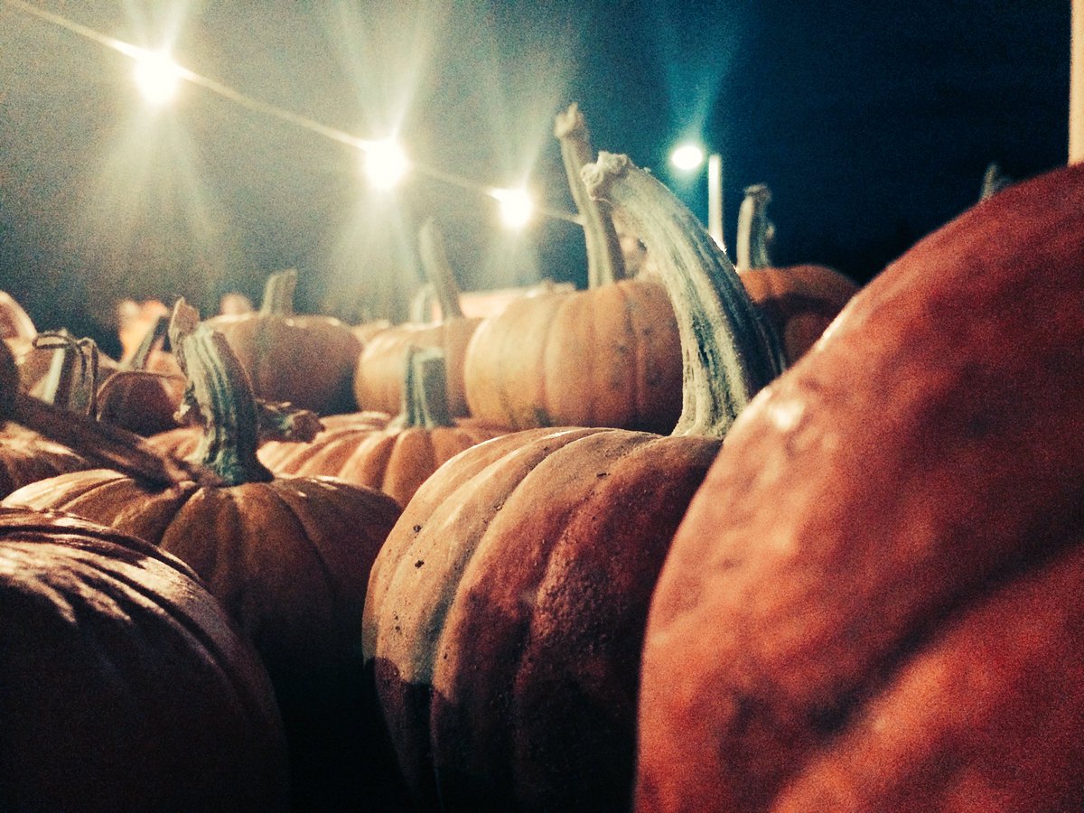 TheInspiredBee's tweet photo. Tis’ the #pumpkin season! #pumpkinpatch #spooky #spookyseason #pumpkins #photography #inspirationalphotography https://t.co/YOmWdsUtMi