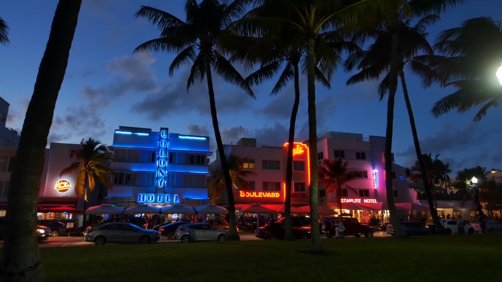 motionplaces's tweet photo. Miami Beach Neon

#night #palmtrees #miami #miamibeach #neon  #motionplaces #travel #royaltyfree #cinematic #contentcreator #videoproduction #4k #stockfootage https://t.co/furPqSl1uq