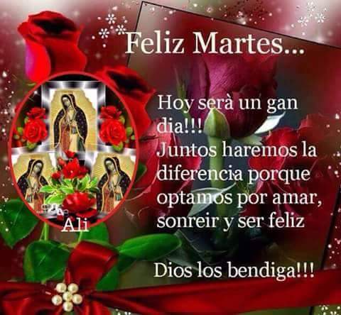 rosalesroch's tweet photo. @mhonividente https://t.co/e3CvUBIk0A