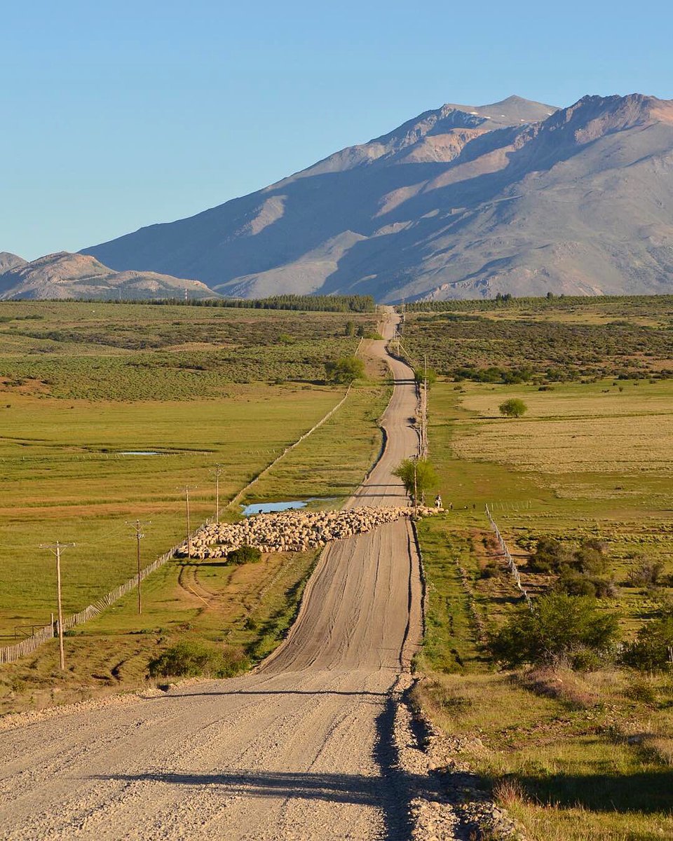 Camino al Río Percy, Esquel.
📸 @nicolascayun 
#argentina #ruterosargentinos #ruta #discoversouthamerica #roadtrip #road #paisaje #riopercy #esquel