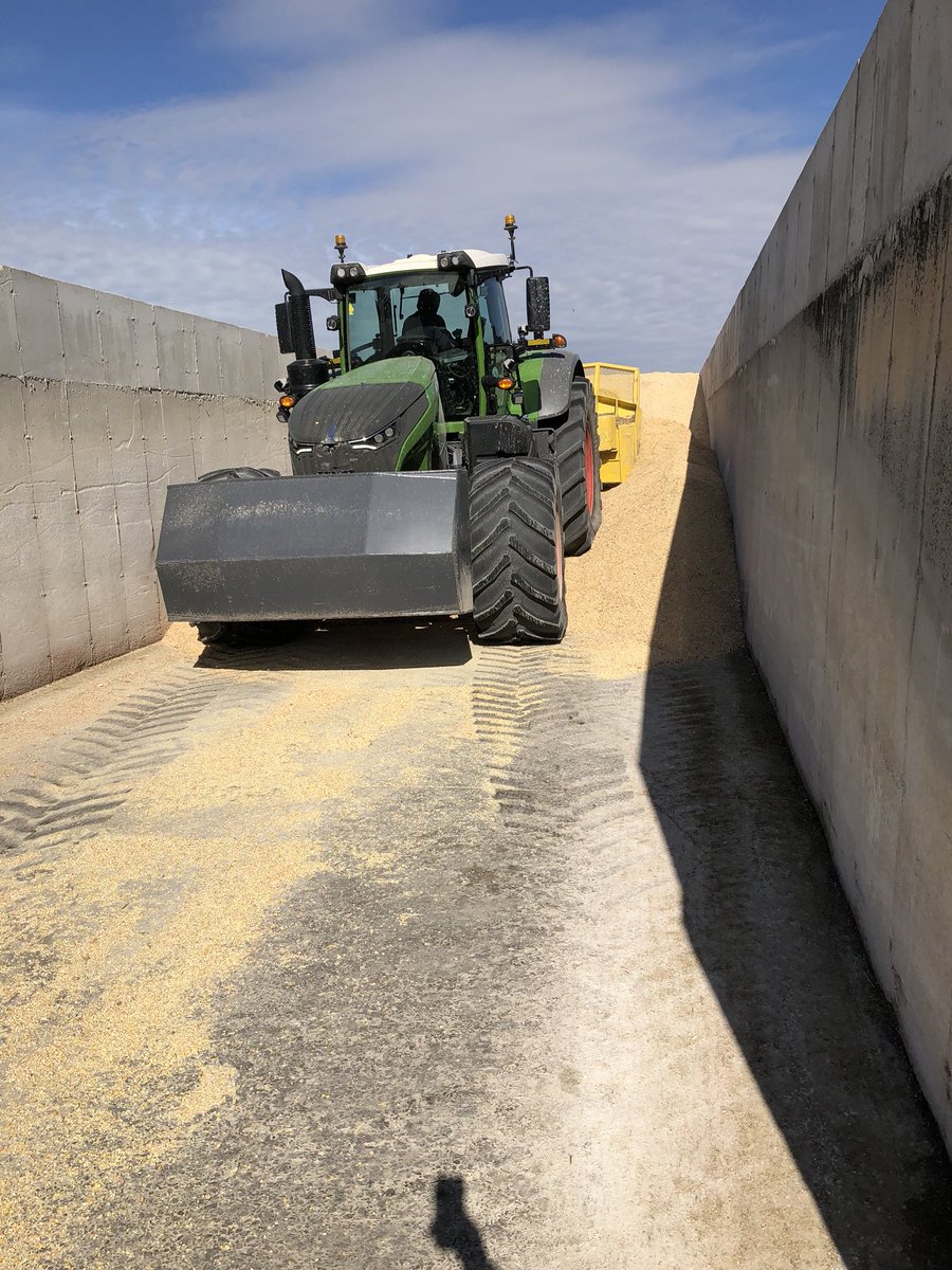 wakennes's tweet photo. Comeal harvest in progress filling the bunk taking samples #sciencewithservice #neverstopgrowing #herestofarmers @PioneerSeedsCA https://t.co/jaYJwT8RHJ