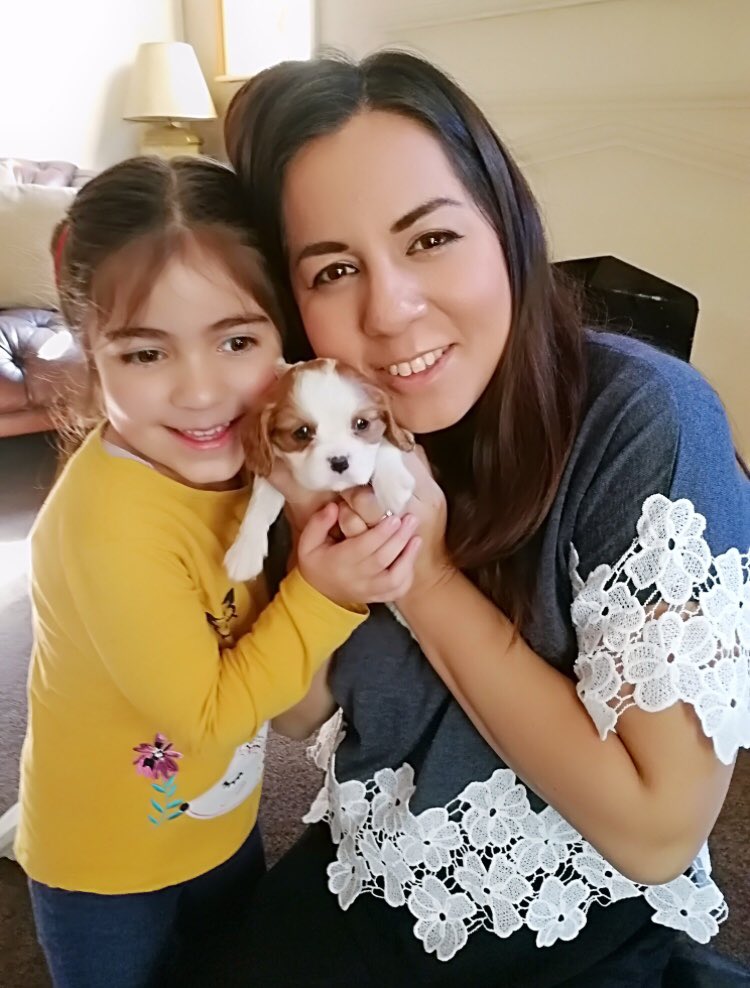 TransplantToys's tweet photo. Tonight on Transplant Toys Tales Jessica shares her courageous transplant journey! Wishing you and your lovely daughter, Daisy Rose a lifetime of health and happiness together. 💗🐻♻️ https://t.co/UkdbgqXzEH https://t.co/t9Fofab7zN