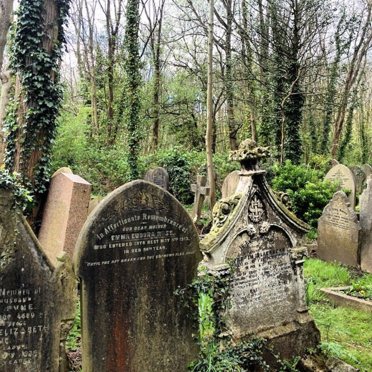 ShorterCR's tweet photo. @NatGeoTravel Highgate Cemetery in London! #FallTravelChat https://t.co/4eP0MvgAxg