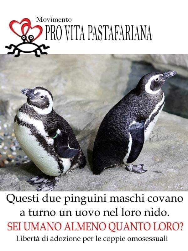 CPITreviso's tweet photo. #famigliatradizionalepastafariana
(Mi raccomando però di non cibarvi di carne e/o derivati di pinguino, l'unico cibo proibito nelle Sacre Scritture) https://t.co/AUeXxihzps