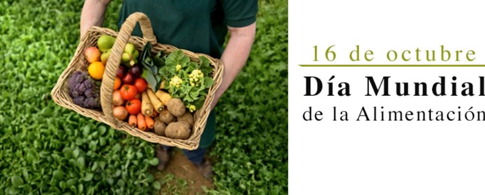 VeroGuevarav's tweet photo. Hoy conmemoramos el #DíaMundialDeLaAlimentación, desde la @AsambleaEcuador legislamos con el fin de fomentar e incentivar el desarrollo del agro y así se pueda llevar día a día alimentos saludables a las mesas de los ecuatorianos. https://t.co/onLFX3eK3C