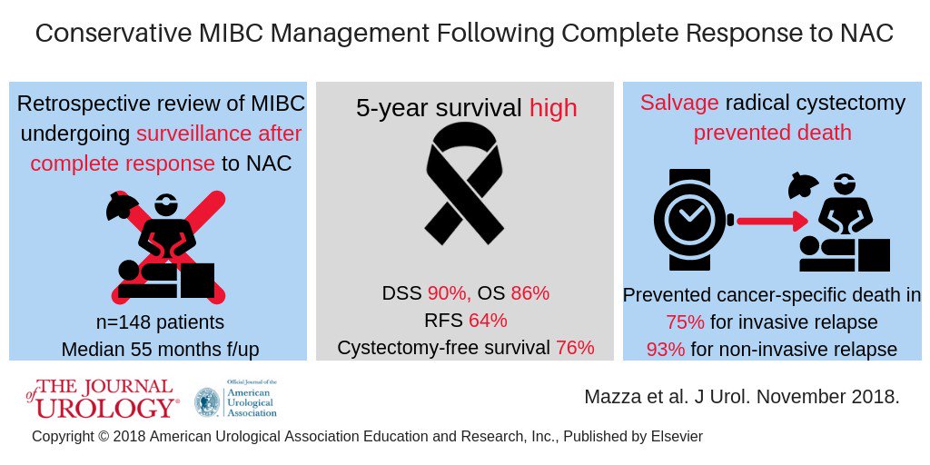 JUrology's tweet photo. What happens to patients w/  CR after #NAC 
who refuse cystectomy for invasive #bladdercancer? 
Surprisingly high survival rates 
https://t.co/H5YQdgKB1m
 @CBAnderson2014     @ColumbiaUrology     @NYUUrology https://t.co/4bG1Sanh5v