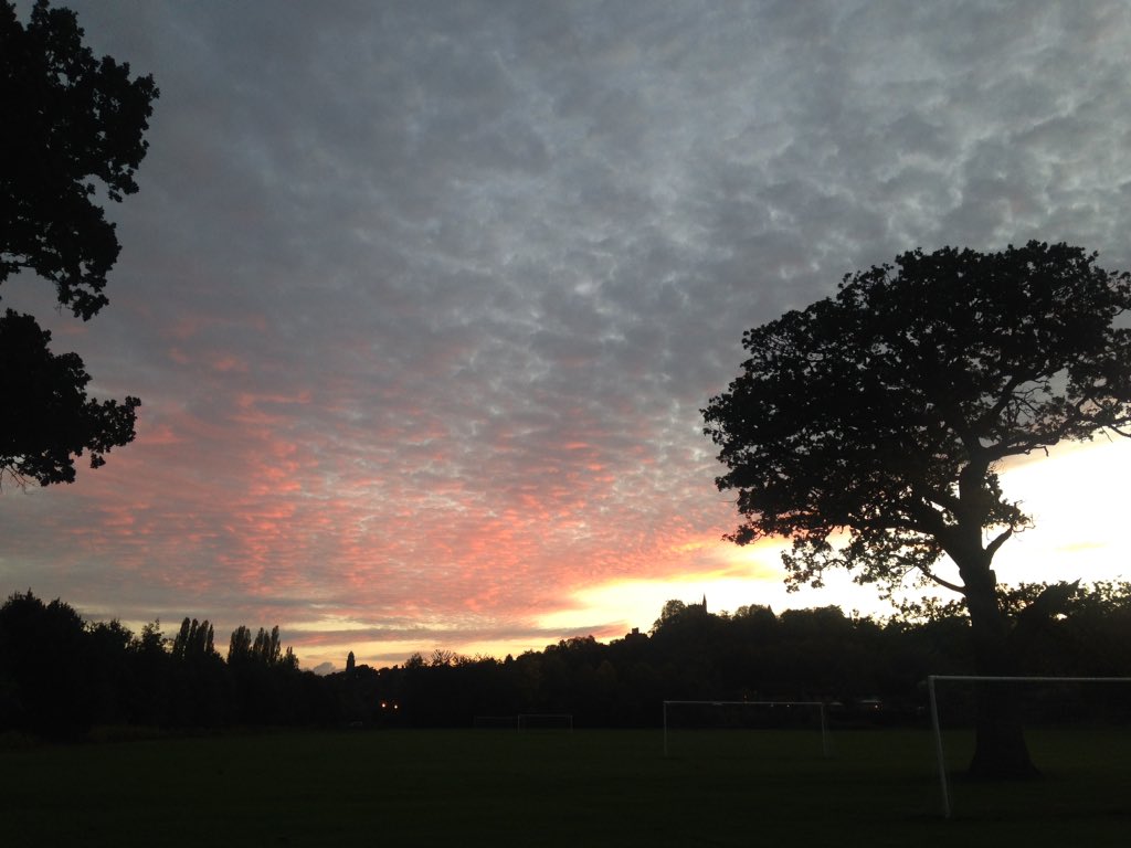 ann_butler23's tweet photo. You can't beat an evening walk with goalposts #itswhereitsat https://t.co/N1iDUKLMjq