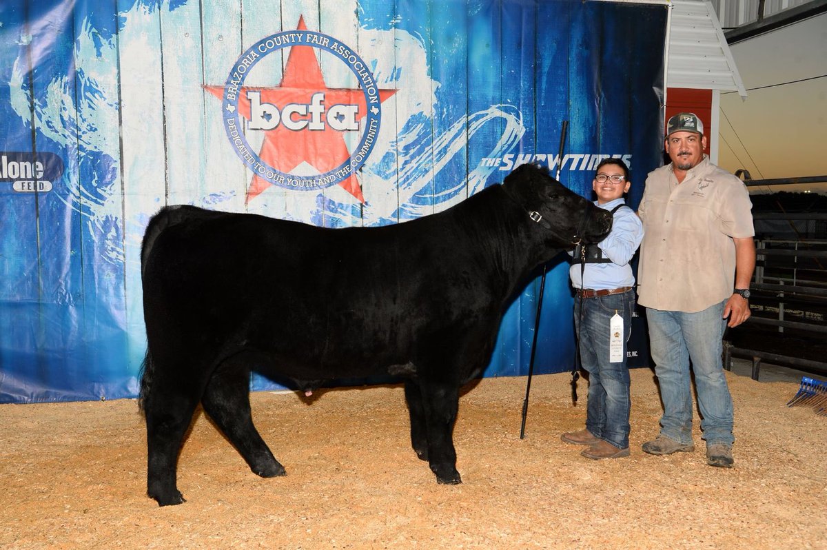 Vanessa10230200's tweet photo. Super proud of this little man! Placed 3rd in his class! #bcfa #manvelffa https://t.co/Ixq5sKiD47