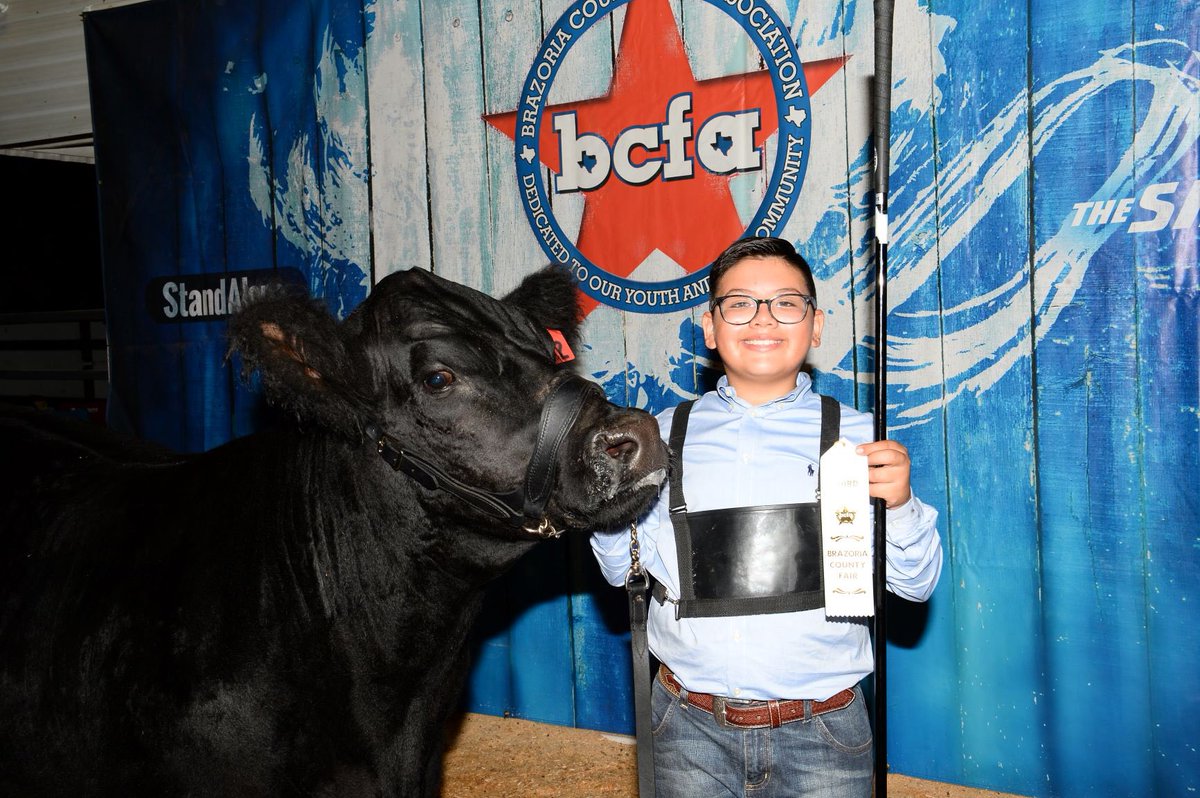 Vanessa10230200's tweet photo. Super proud of this little man! Placed 3rd in his class! #bcfa #manvelffa https://t.co/Ixq5sKiD47