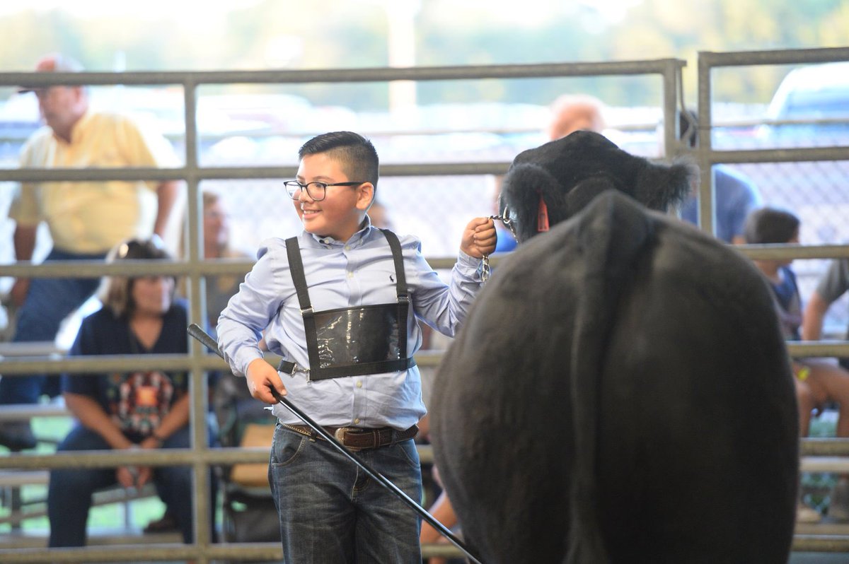 Vanessa10230200's tweet photo. Super proud of this little man! Placed 3rd in his class! #bcfa #manvelffa https://t.co/Ixq5sKiD47