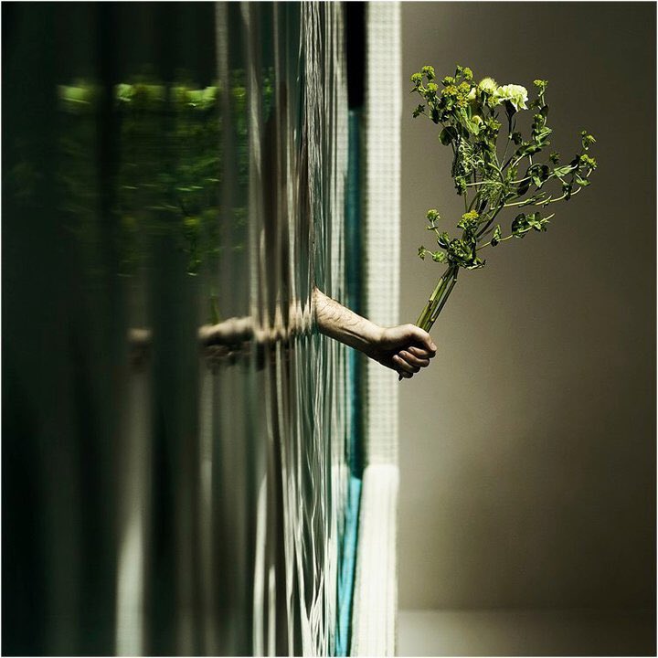 canalacultura's tweet image. De la #serie #INTHEPOOL del #fotógrafo #suizo #NihlsHolgersson , #perspectiva de la relación #hombre+#agua