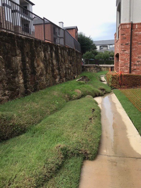 PermaPierFoundation tweet media