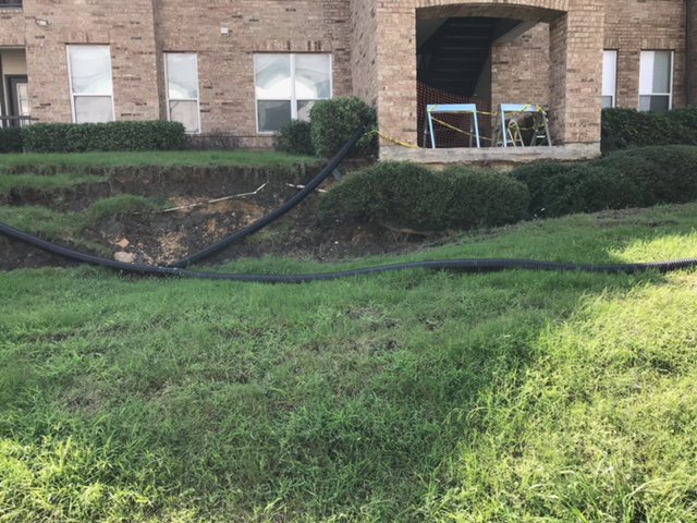 PermaPierFoundation tweet media