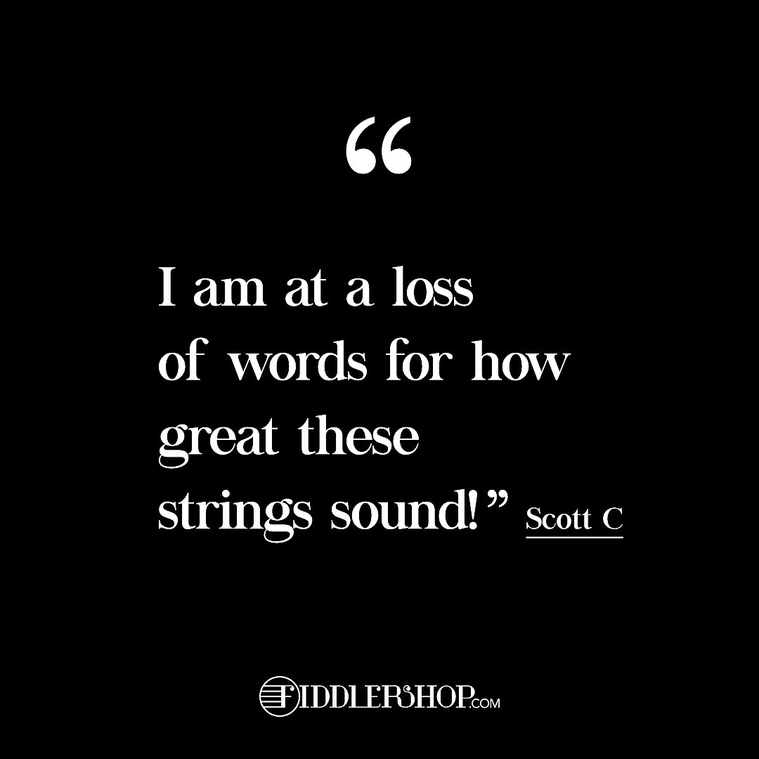 Reviews speak for themselves! ★★★★★
The #Fiddlerman #Violin #String Set is our most reviewed string set, and the feedback that we're getting is amazing. Hope that you enjoy your strings as much as these guys do 🙌🏼
Get your's here: fiddlershop.com/products/fiddl…