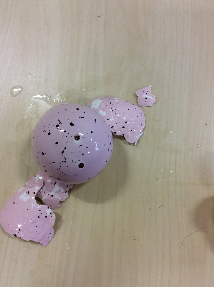 bartonmichelle1's tweet photo. Look what happened today. Our dinosaur egg hatched#amazing @NewParkPrimary https://t.co/iiz2RvvsDg