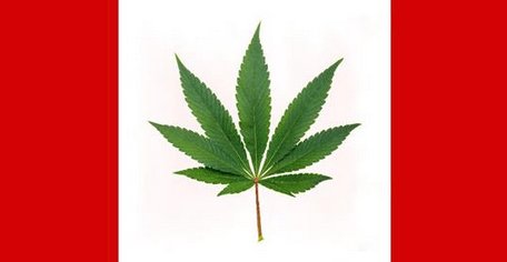 CLEARdrugpolicy's tweet photo. Canada doesn’t have enough weed for when #cannabis becomes legal on Wednesday. Legal cannabis supply is expected to be around 210 tons while total demand will be about 610 tons. #drugspolicy https://t.co/UgknEr7rSu https://t.co/5rflJrmGtM