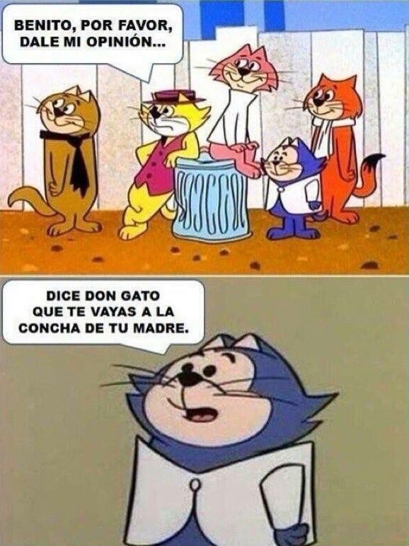 putoterrorista's tweet photo. @Regia_Pam @GobiernodeChile https://t.co/CuU1vYrcaY