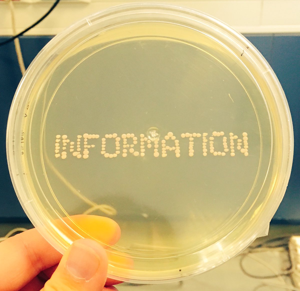 RhizomeAsso's tweet photo. Intensive preparations for our #artscience exhibition at #MedILS in #Split, 🇭🇷!
Will you join us on Friday?
If you can’t come, make sure you check out our website to see our #microbeart pieces ❤️🔬🖼
https://t.co/FAtMpQKy9B https://t.co/x7RUf9y1lY