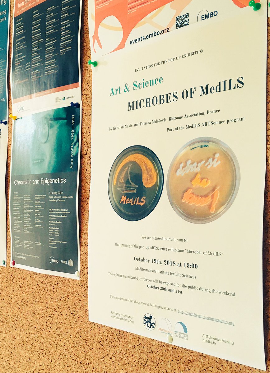 RhizomeAsso's tweet photo. Intensive preparations for our #artscience exhibition at #MedILS in #Split, 🇭🇷!
Will you join us on Friday?
If you can’t come, make sure you check out our website to see our #microbeart pieces ❤️🔬🖼
https://t.co/FAtMpQKy9B https://t.co/x7RUf9y1lY