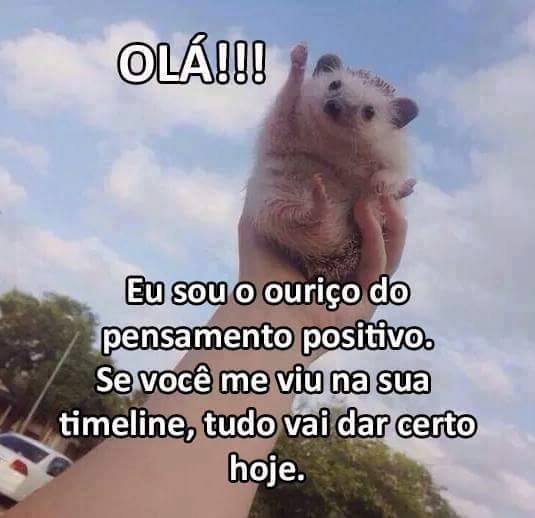 luquinhas tweet media