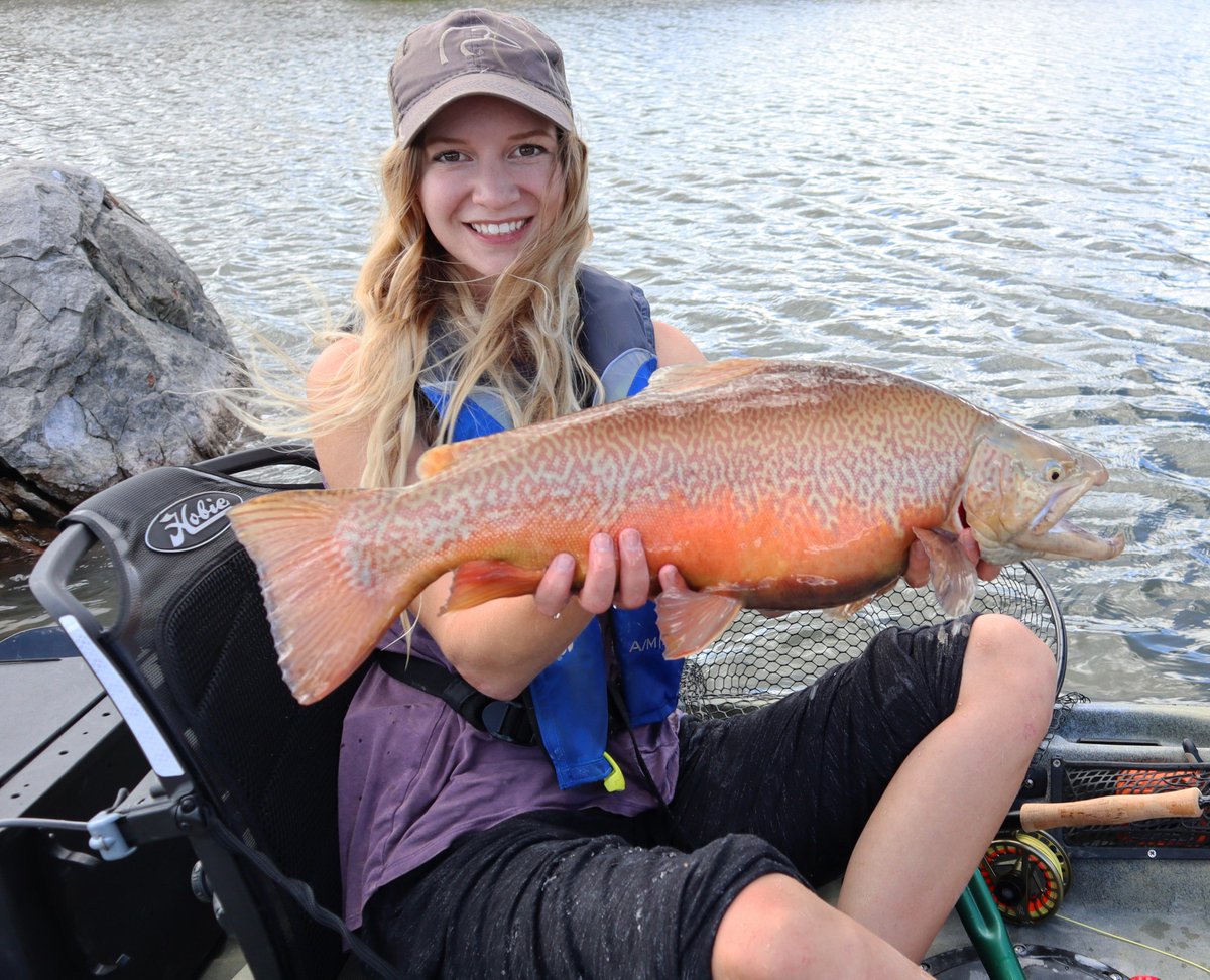 Can't help but love that orange and that kype! #flyfishing #trout #gir...