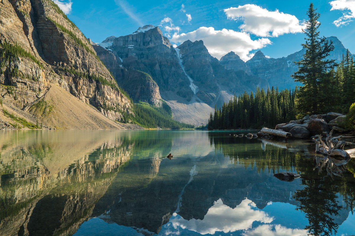 OutdoorCmdts's tweet photo. Lake Louise, Canada
Mark Koch https://t.co/RgjzIEJI1V