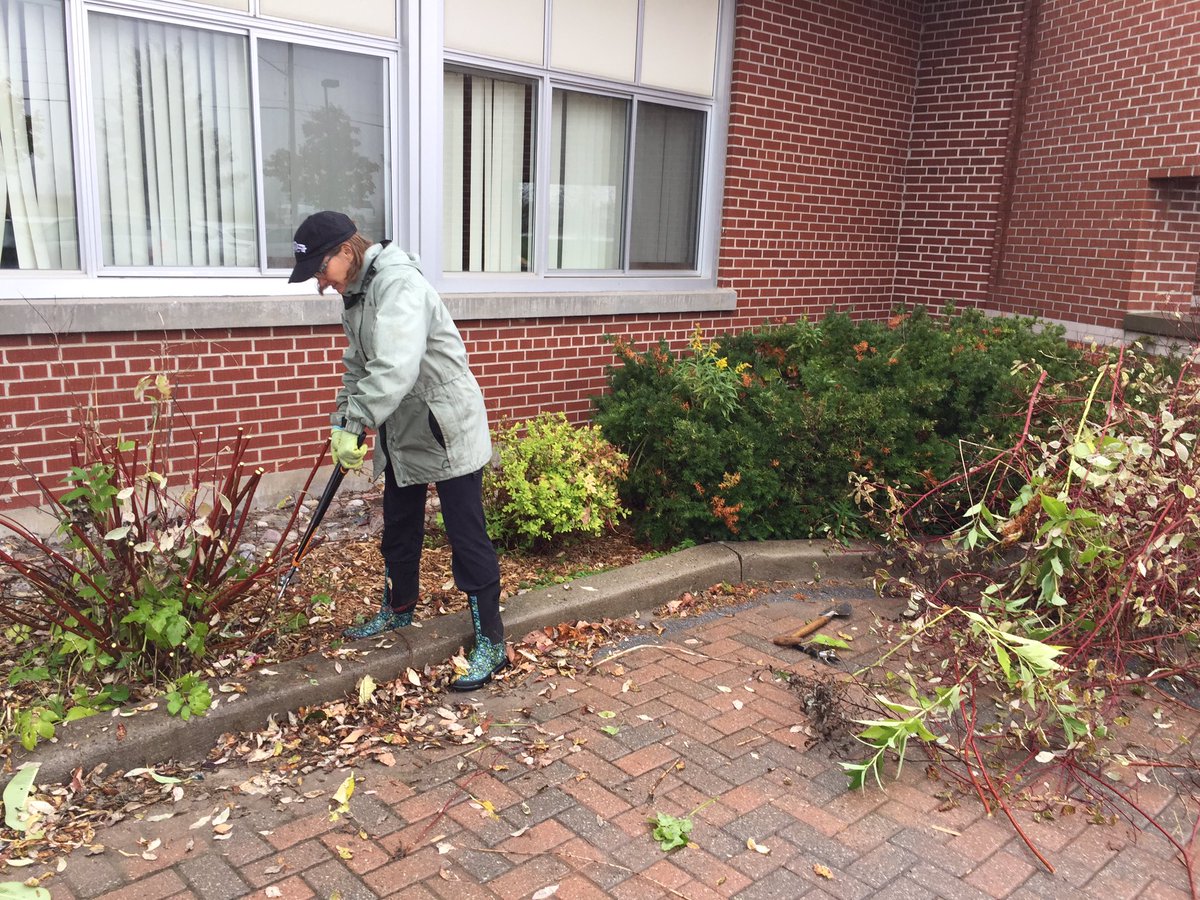 cookstowncps's tweet photo. Parent volunteers hard at work making the front of our school look more beautiful. Thank you! @SCDSB_Schools #WeCouldn’tDoItWithOutYou! https://t.co/ODgVmm8GK6