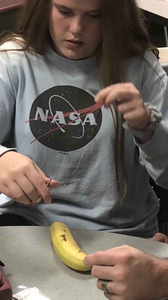Nagelwellness's tweet photo. Awesome lesson with hands on learning today!  @NagelNighthawks practicing how to apply surgical sutures to a wound. Thank you Mr. Bowers @WellingtonOrtho for working with our #nagelsportsmed classes. #nagelbethechange #educationalpartnership https://t.co/DP33XS9yYE