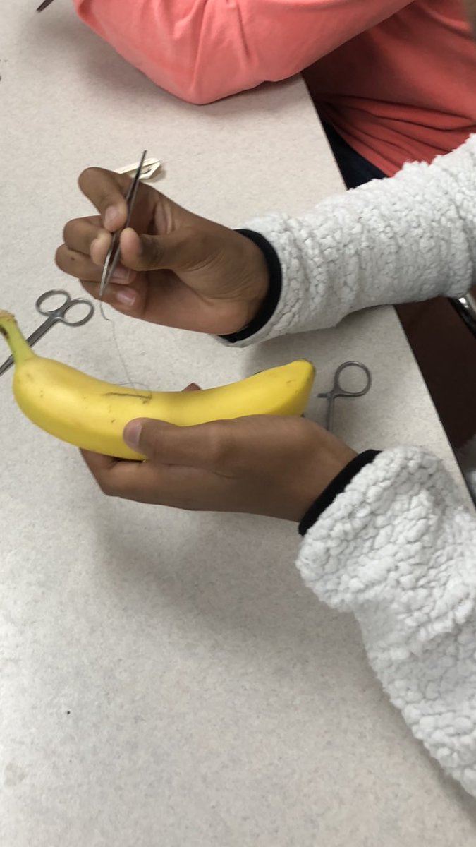 Nagelwellness's tweet photo. Awesome lesson with hands on learning today!  @NagelNighthawks practicing how to apply surgical sutures to a wound. Thank you Mr. Bowers @WellingtonOrtho for working with our #nagelsportsmed classes. #nagelbethechange #educationalpartnership https://t.co/DP33XS9yYE